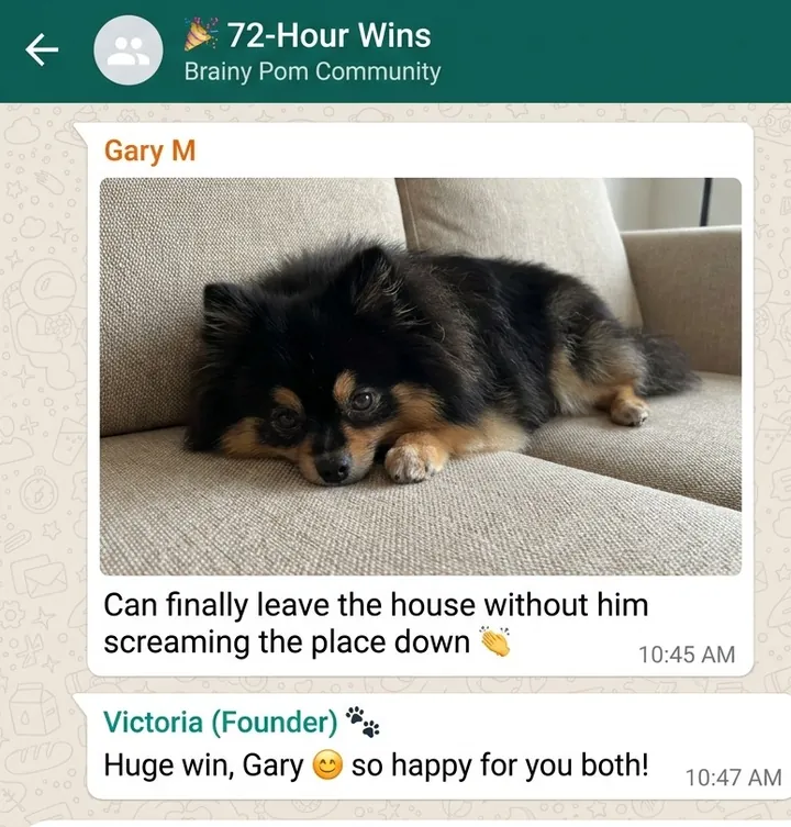 A real message from a member of the Brainy Pom community