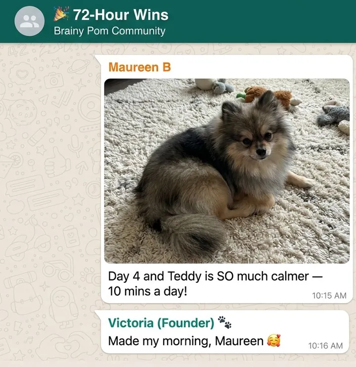 A real message from a member of the Brainy Pom community