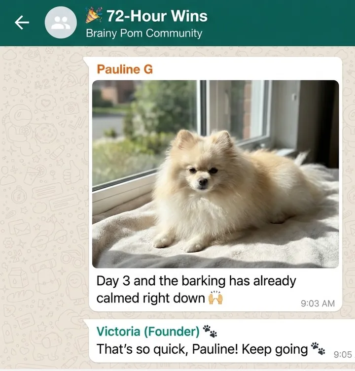 A real message from a member of the Brainy Pom community