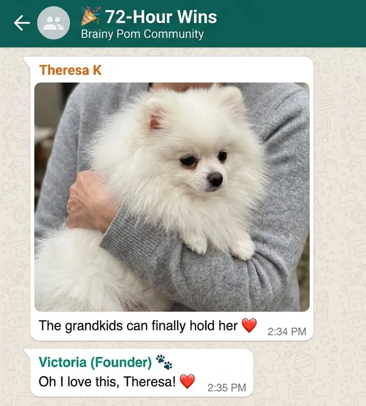 A real message from a member of the Brainy Pom community