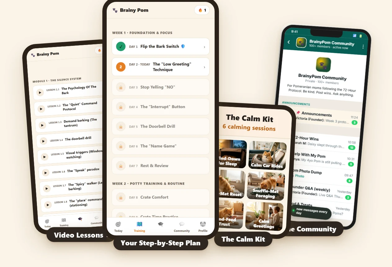 Everything inside Brainy Pom: your step-by-step plan, the video lessons, the Calm Kit and the community