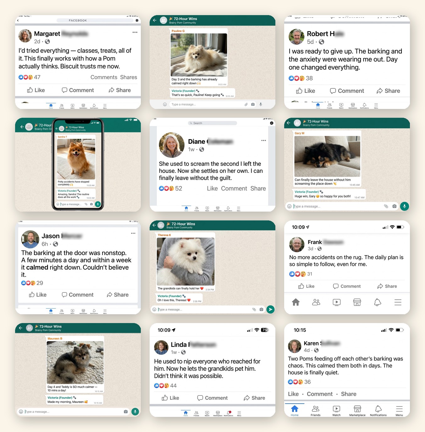 Real Pomeranian owner reviews